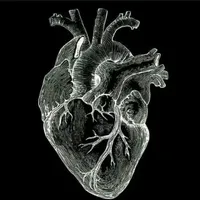 original sound - bassam_alsenawy7