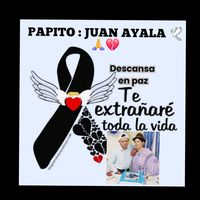 ayalita.delys