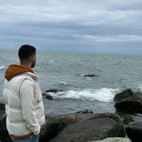 official.com991