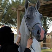 i97__ll
