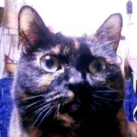 オリジナル楽曲 - タカコ😎