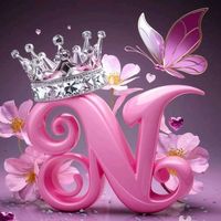 nareesairfanhamid1255