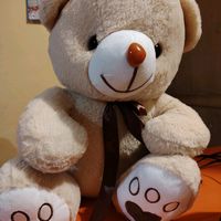 chentecito.sarang