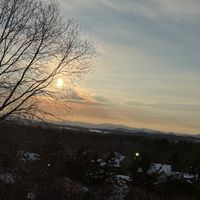 vero_mt6