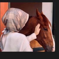 ressam70nrn