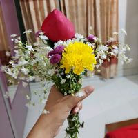 rimaislamnuha0