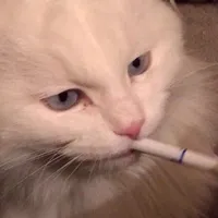 wildrussianboy