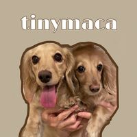 tiny_maca02