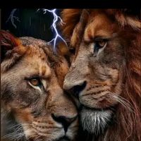 original sound - velujohnson