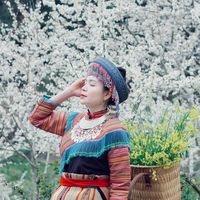 nhạc nền - dinhhanh1512