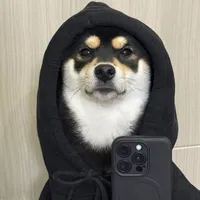 original sound - viishnya_a