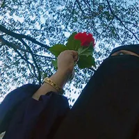original sound - saynasayns