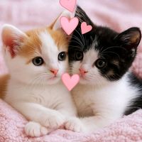 shippu____kutty_____