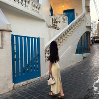 celine_lichaa