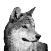 original sound - x_aq_99