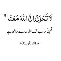 kamran_king35