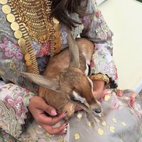mrs_alyama7i