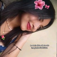 _domi_0.2