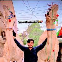 muazsheikh20