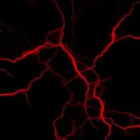 original sound - mhmtslowed