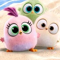 __munawaat2