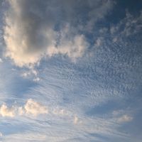 オリジナル楽曲 - 僕ちゃん