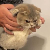 เสียงต้นฉบับ - JNDRAMA ❥