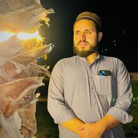hafiz_salmansafi