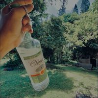 son original
