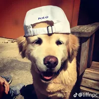 original sound - kthaechit