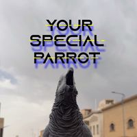 your_special_parrot