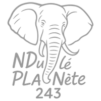 original sound - nduleplanete01