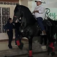 carlosfernando493