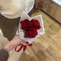 ines_bz7