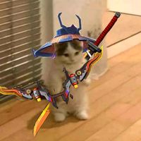 suara asli - Capt.Goldass.