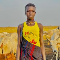 mustdeng8