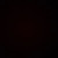 neverseeme15