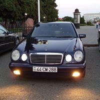 _44_cavadov_44_
