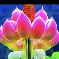 오리지널 사운드 - 무 남