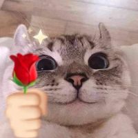 nhạc nền - βáςɧɧóατổηɠɧợρtiktok