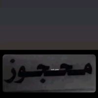 thevirgin337