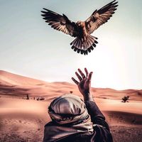 оригинальный звук - Ahmed0062R