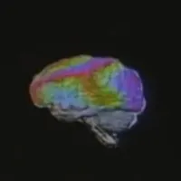 original sound - br4inrottt