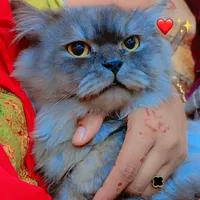 original sound - mamakishezadi5