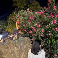 original sound - taxha20