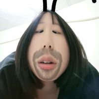 dutdao_ic