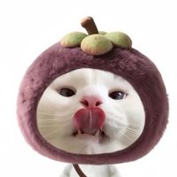 pawika.a0