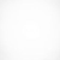 santy_3291