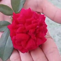 nhạc nền - @tâm trạng 99999