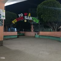 tiktok.comavelinc